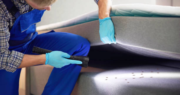 Best Pest Removal Services  in Ash Grove, MO