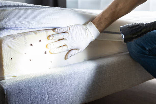 Best Commercial Pest Control Services  in Ash Grove, MO